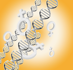 First Female Genome Sequenced