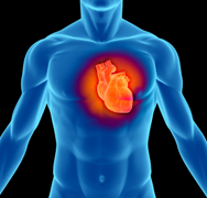NIH Study Finds Largest Set of Genes Related to Major Risk Factor for Heart Disease